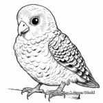 High Detail Budgie Coloring Pages for Adults 2