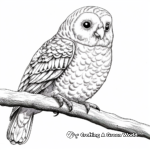 High Detail Budgie Coloring Pages for Adults 4