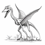 Historically Accurate Dimorphodon Coloring Pages 1