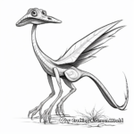 Historically Accurate Dimorphodon Coloring Pages 4