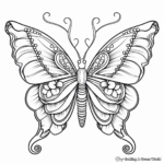 Hummingbird and Butterfly Symmetrical Design Coloring Pages 4