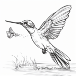 Hummingbird Feeding Action Coloring Pages 2
