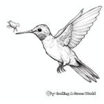 Hummingbird Feeding Action Coloring Pages 3