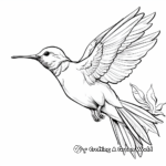 Hummingbird Migration Coloring Pages for Kids 2