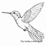Hummingbird Migration Coloring Pages for Kids 3
