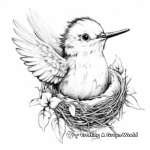 Hummingbird Nest and Baby Coloring Pages 1