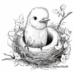 Hummingbird Nest and Baby Coloring Pages 4