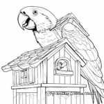 Illustrative Macaw in a Birdhouse Coloring Pages 4