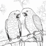 Illustrative Pair of Scarlet Macaws Coloring Pages 4