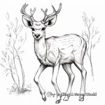 Impressive Sika Deer Antler Coloring Pages 2