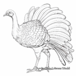 Impressive Turkey Feathers Coloring Pages 2