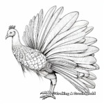 Impressive Turkey Feathers Coloring Pages 3