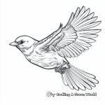 In-Flight Oriole Coloring Page 3