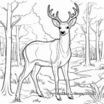 In the forest: Deer Scene Coloring Pages 2