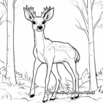 In the forest: Deer Scene Coloring Pages 4
