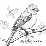 In the Wild: Coloring Pages of Birds in their Natural Habitats 3