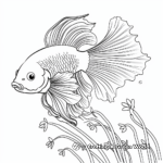 Indo-Pacific Betta Fish for Adult Coloring 4