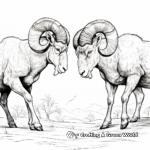 Inspiring Bighorn Sheep Male Duel Coloring Pages 2