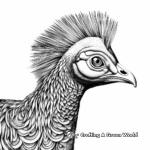 Inspiring Congo Peacock Coloring Sheets 3
