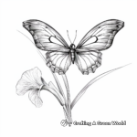 Páginas para colorear inspiradoras Mitad mariposa, mitad lirio 1