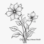 Inspiring Sweet Autumn Clematis Vine Coloring Pages 3