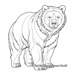 Intense Marsican Brown Bear Coloring Pages 4