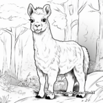 Interactive Alpaca and Llama Coloring Pages 1