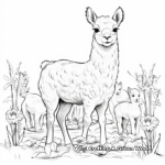 Interactive Alpaca and Llama Coloring Pages 4