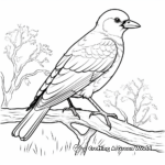 Interactive Australian Crow Coloring Pages 2