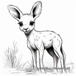 Interactive Baby Kangaroo 'Joey' Coloring Pages 1
