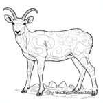 Interactive Connect the Dots Bighorn Sheep Coloring Page 1