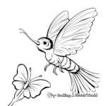 Interactive Hummingbird and Butterfly Coloring Pages 3