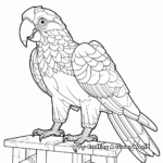 Interactive Label-The-Macaw Parts Coloring Pages 2