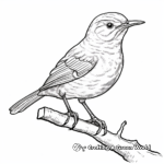 Interactive Northern House Wren Coloring Pages 1