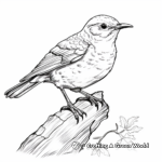 Interactive Northern House Wren Coloring Pages 3