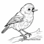 Interactive Robin Bird Coloring Pages 1