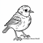 Interactive Robin Bird Coloring Pages 4