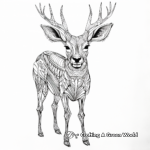 Intricate Antelope Coloring Pages for Adults 3