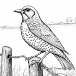 Intricate Artistic Western Meadowlark Designs for Coloring 2