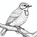 Intricate Artistic Western Meadowlark Designs for Coloring 3