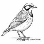 Intricate Artistic Western Meadowlark Designs for Coloring 4