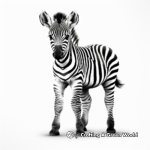 Intricate Baby Zebra Coloring Pages for Artists 3