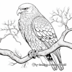 Intricate Bald Eagle Coloring Pages 3