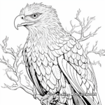 Intricate Bald Golden Eagle Coloring Pages 1