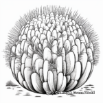 Dibujos para colorear de Cactus de barril 1