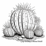 Dibujos para colorear de Cactus de barril 3