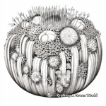 Intricate Barrel Cactus Coloring Pages 4