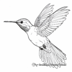 Intricate Broad-Tailed Hummingbird Coloring Pages 1