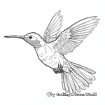 Intricate Broad-Tailed Hummingbird Coloring Pages 2