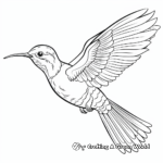 Intricate Broad-Tailed Hummingbird Coloring Pages 4